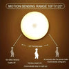 Motion Sensor LED Night Light- Wireless & Rechargeable